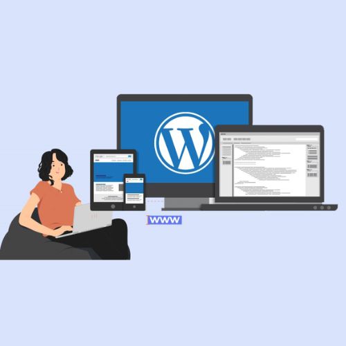 Custom WordPress Development